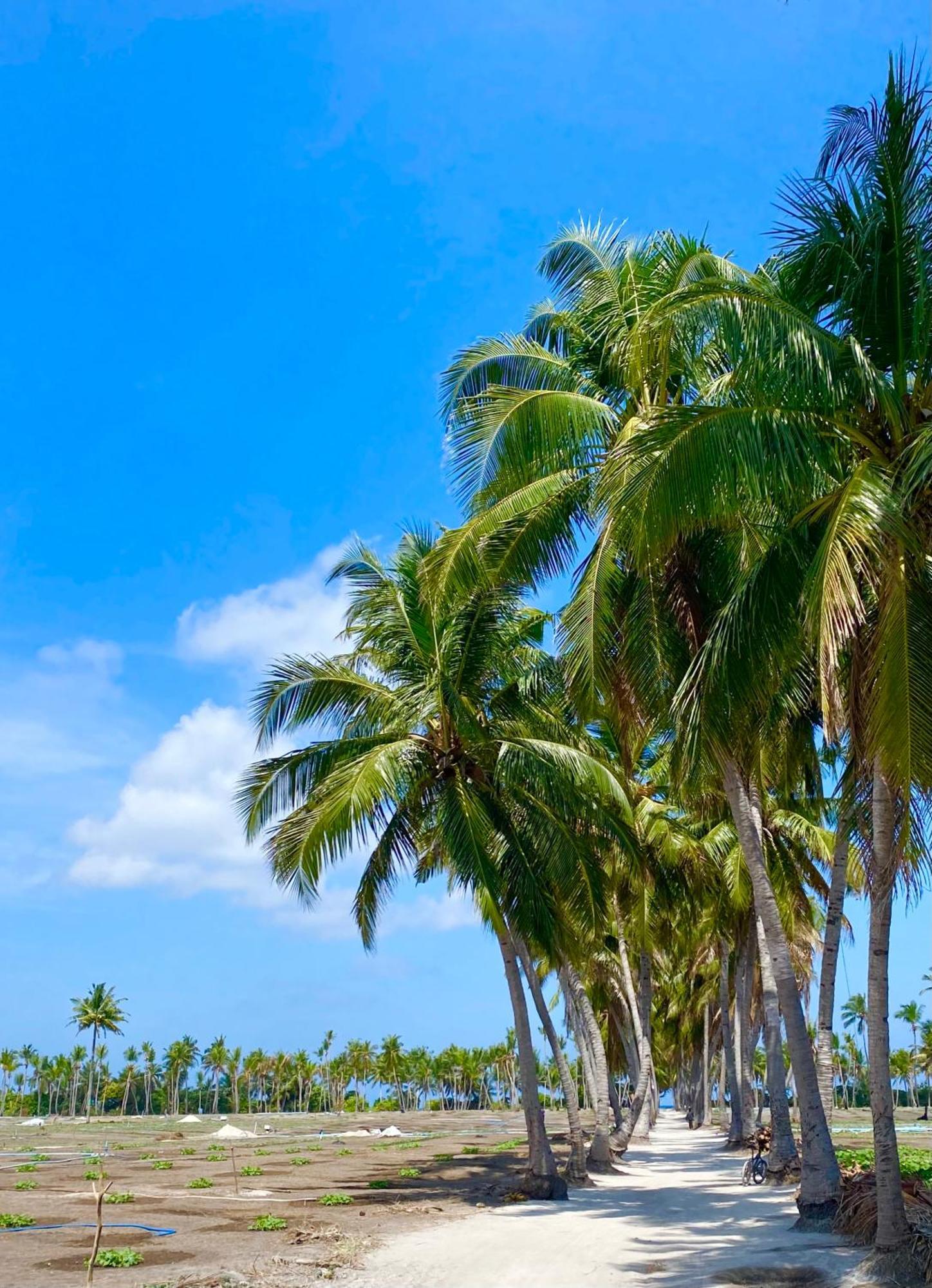 Sorenzo Maldives Thoddoo Exteriér fotografie
