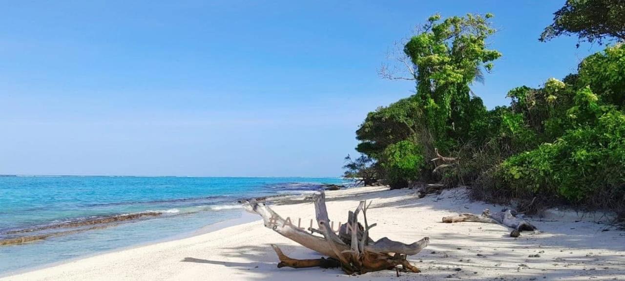 Sorenzo Maldives Thoddoo Exteriér fotografie